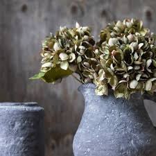 Botanicals & Planters