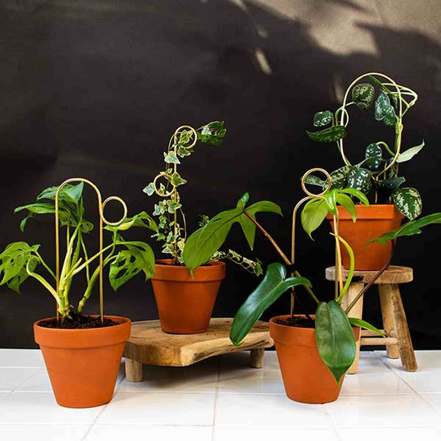 
                  
                    Set of 4 Mini Plant Stakes: Black - Curated Home Decor
                  
                