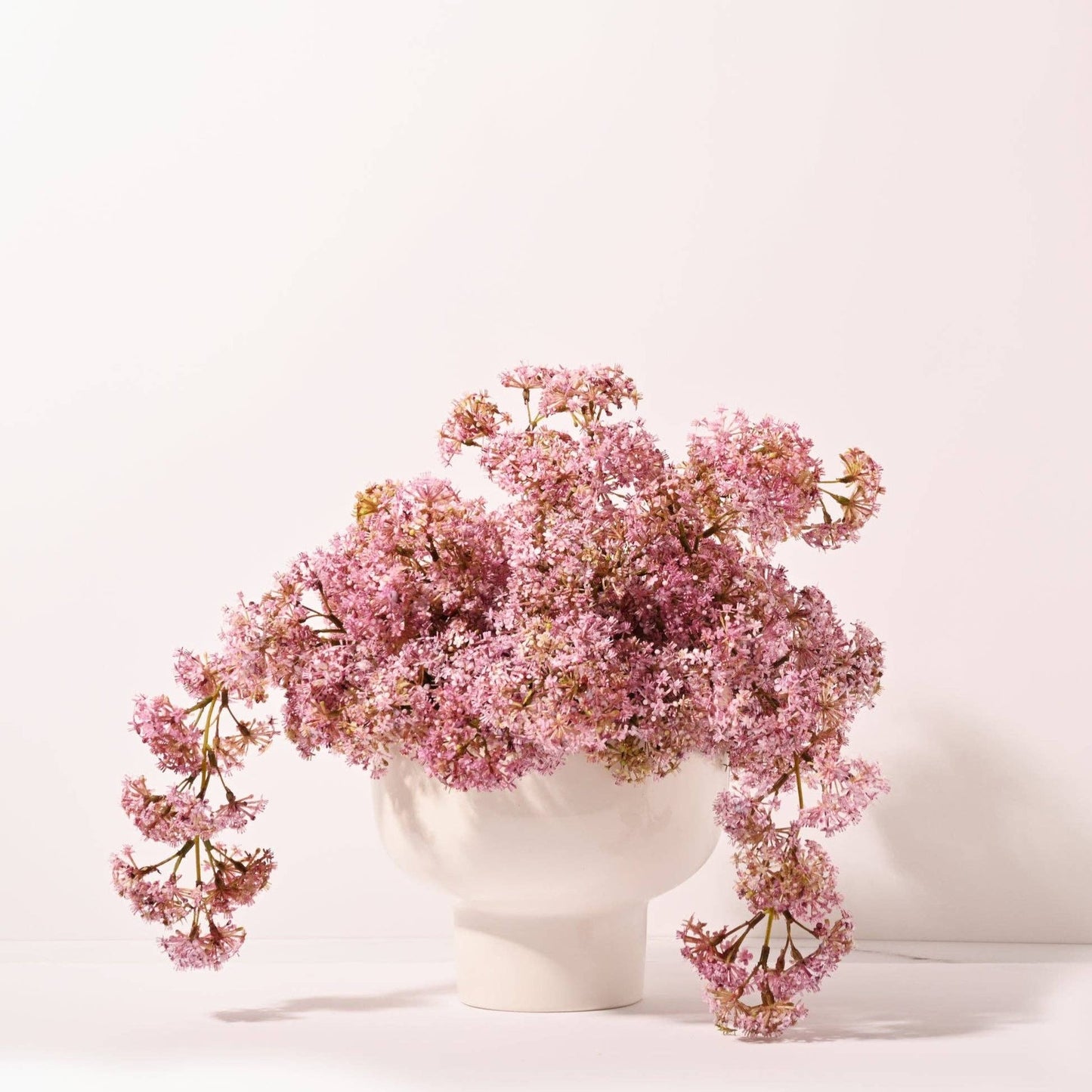 Weeping laurel arrangement in white footed bowl with soft lavender flowers