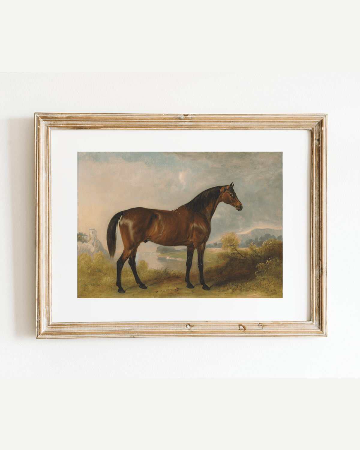 
                  
                    Bay Horse in a Field Antique Art Print: 5x7 - Curated Home Decor
                  
                