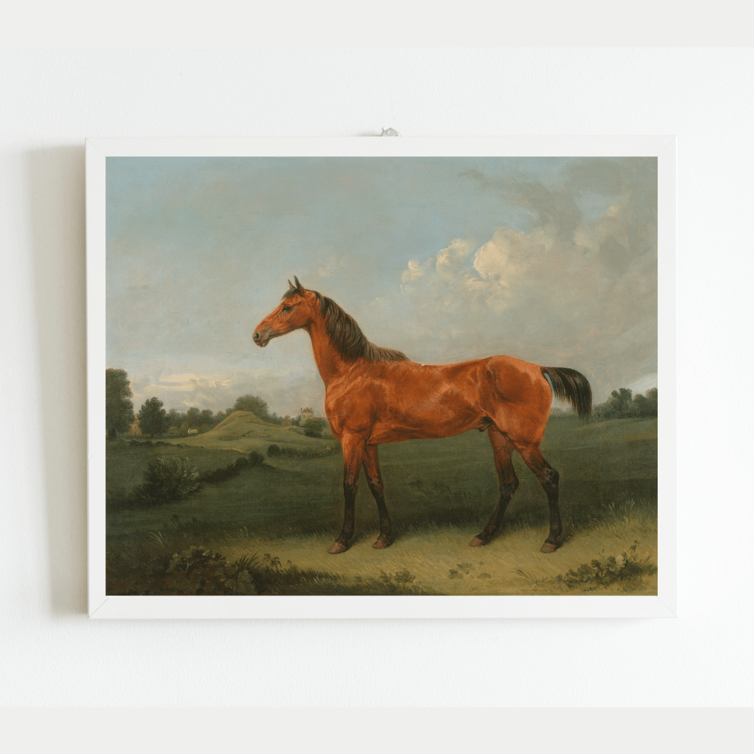 
                  
                    British Bay Horse in a Field Antique Art Print - Curated Home Decor
                  
                