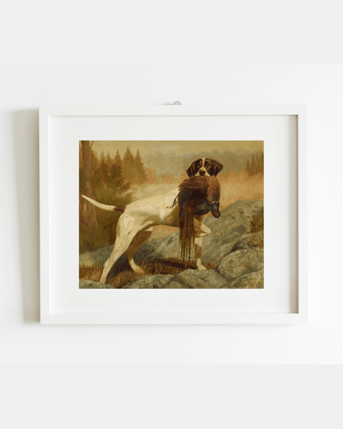 
                  
                    Pointer with Pheasant Antique Art Print - Curated Home Decor
                  
                