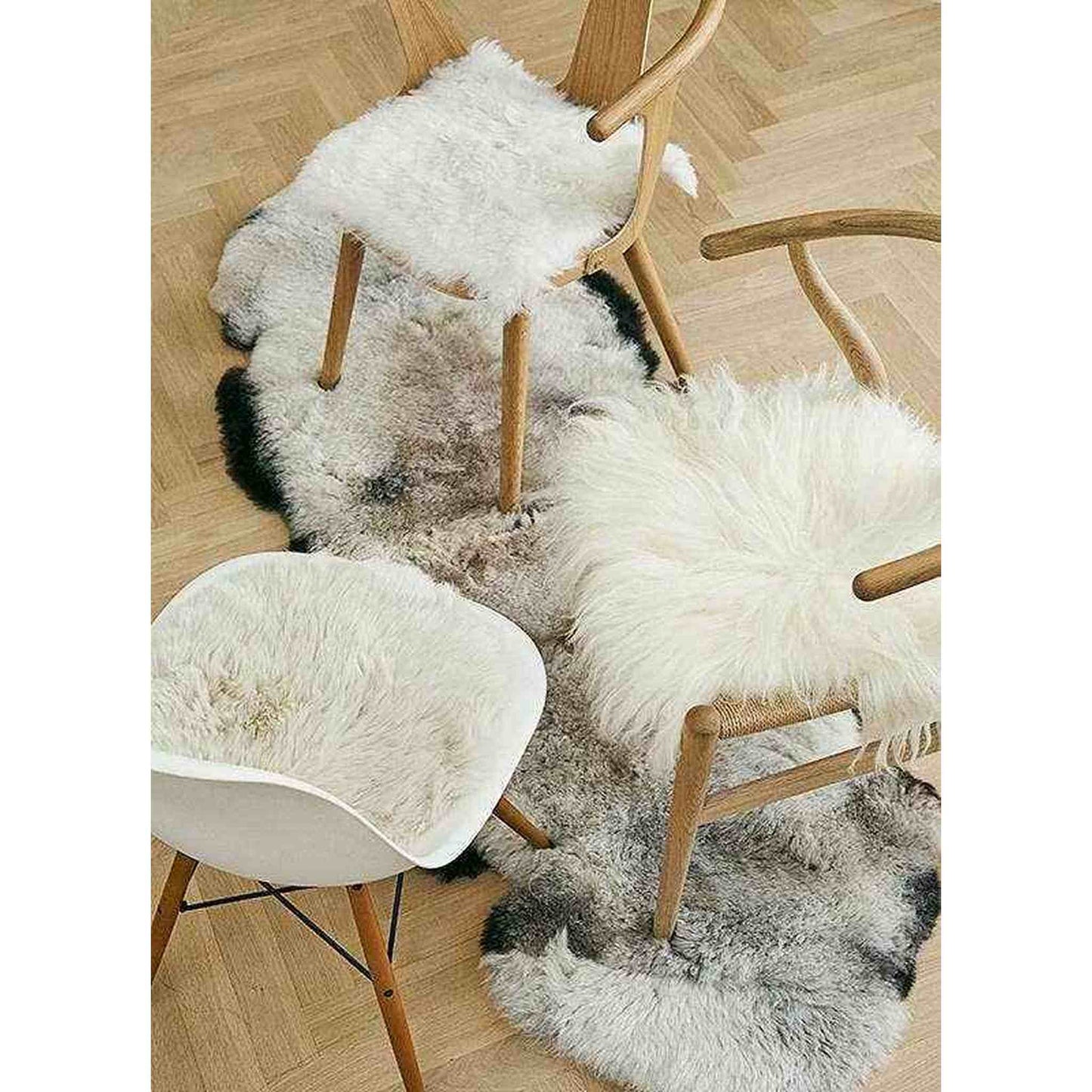 
                  
                    Black Icelandic Sheepskin Chair Pad - Curated Home Decor
                  
                