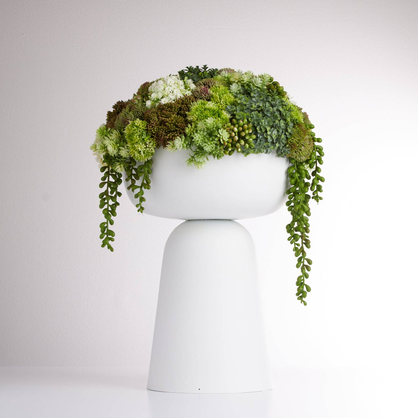 
                  
                    Elevate Sedum Green - White - Curated Home Decor
                  
                