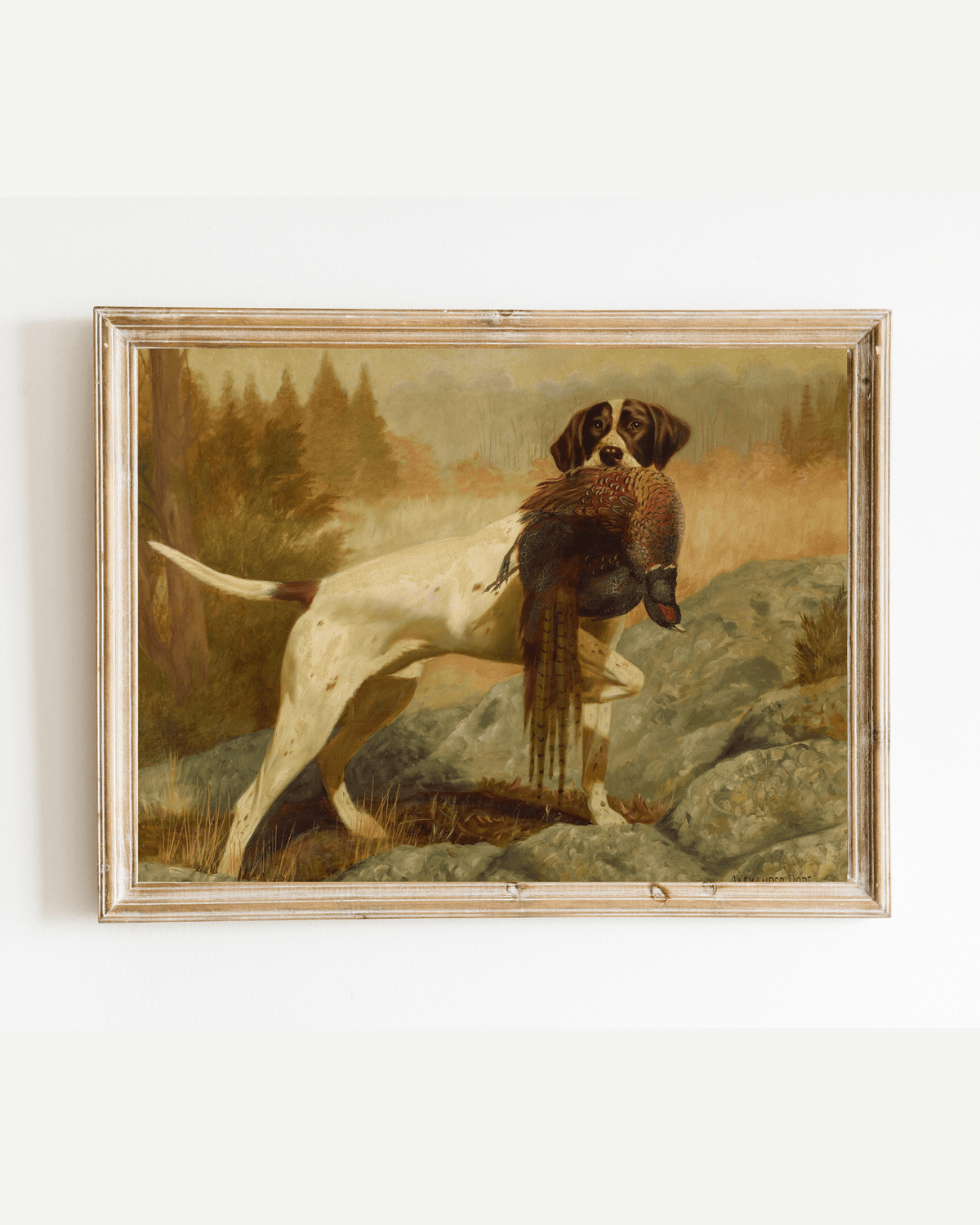 
                  
                    Pointer with Pheasant Antique Art Print - Curated Home Decor
                  
                