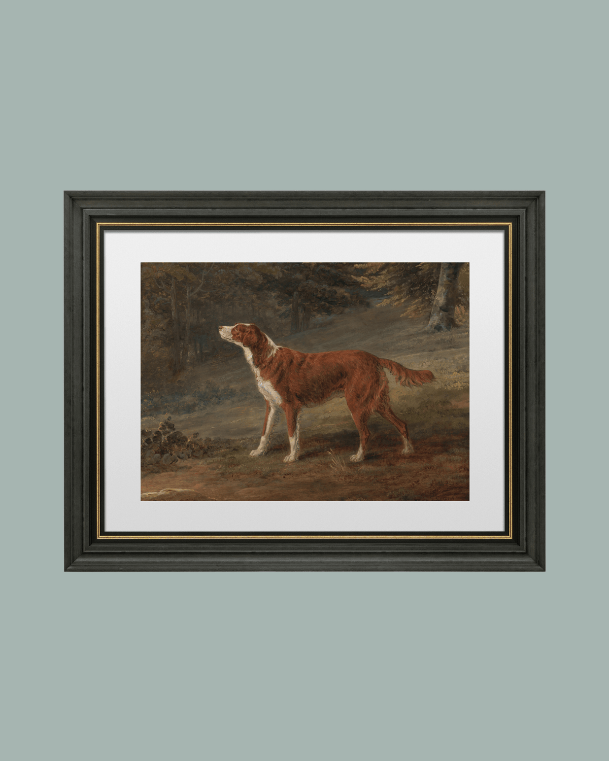 
                  
                    Ranger the Setter Hound Antique Art Print - Curated Home Decor
                  
                