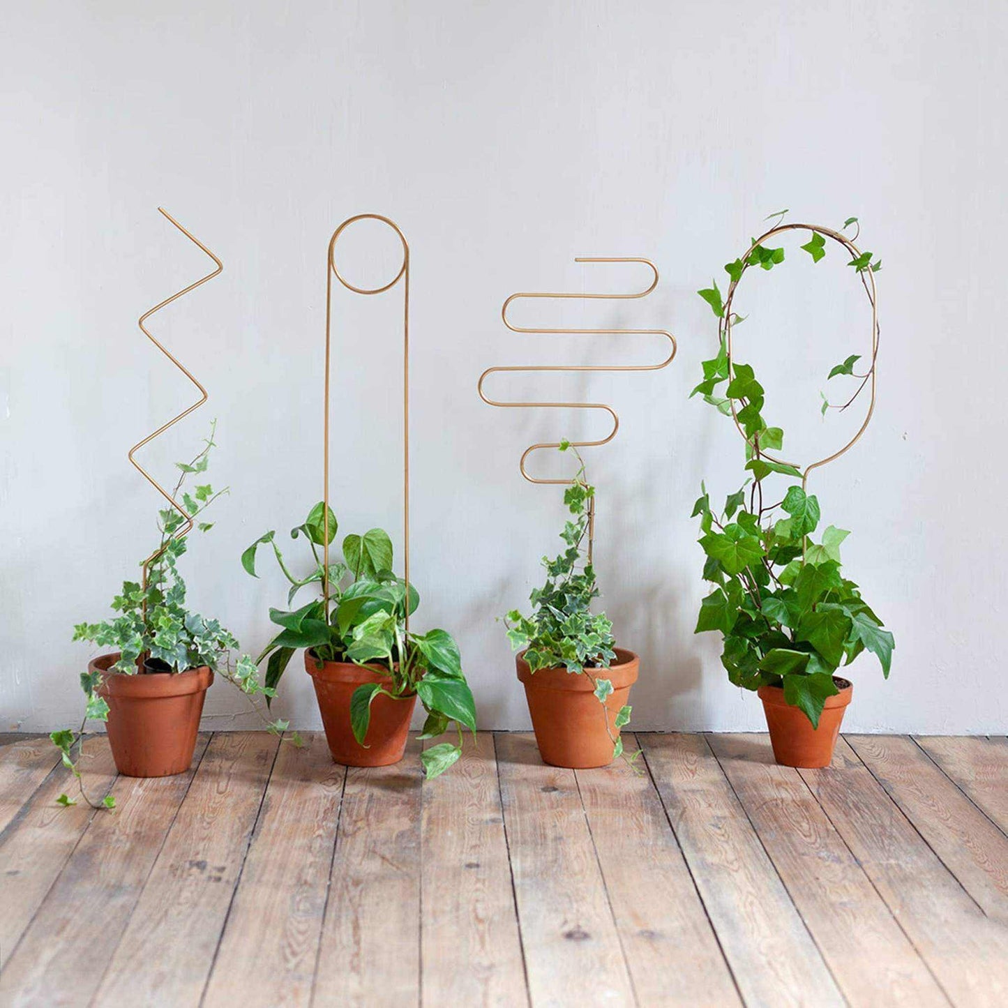 
                  
                    Gold Metal Plant Stake – Arch - Curated Home Decor
                  
                