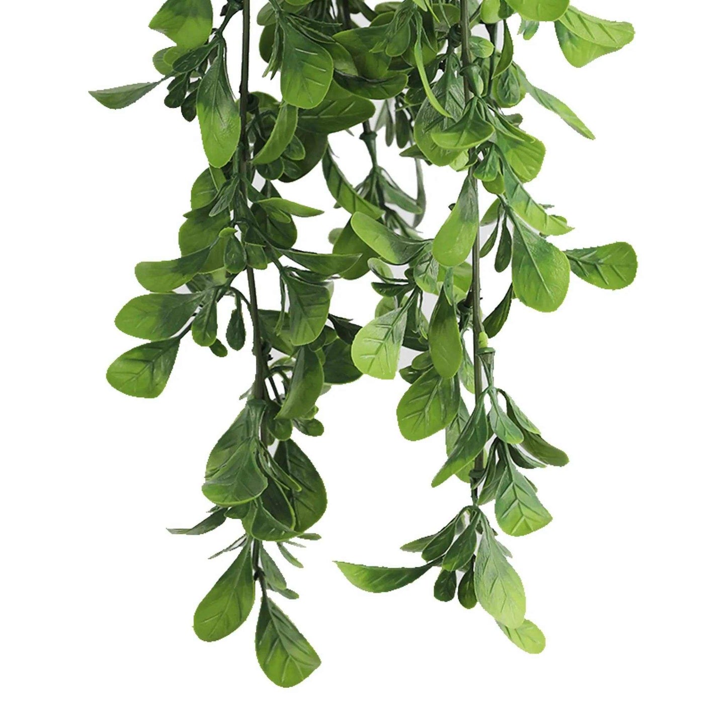 
                  
                    Artificial Creeping Fig Garland (UV Resistant + Fire Rated) - Curated Home Decor
                  
                