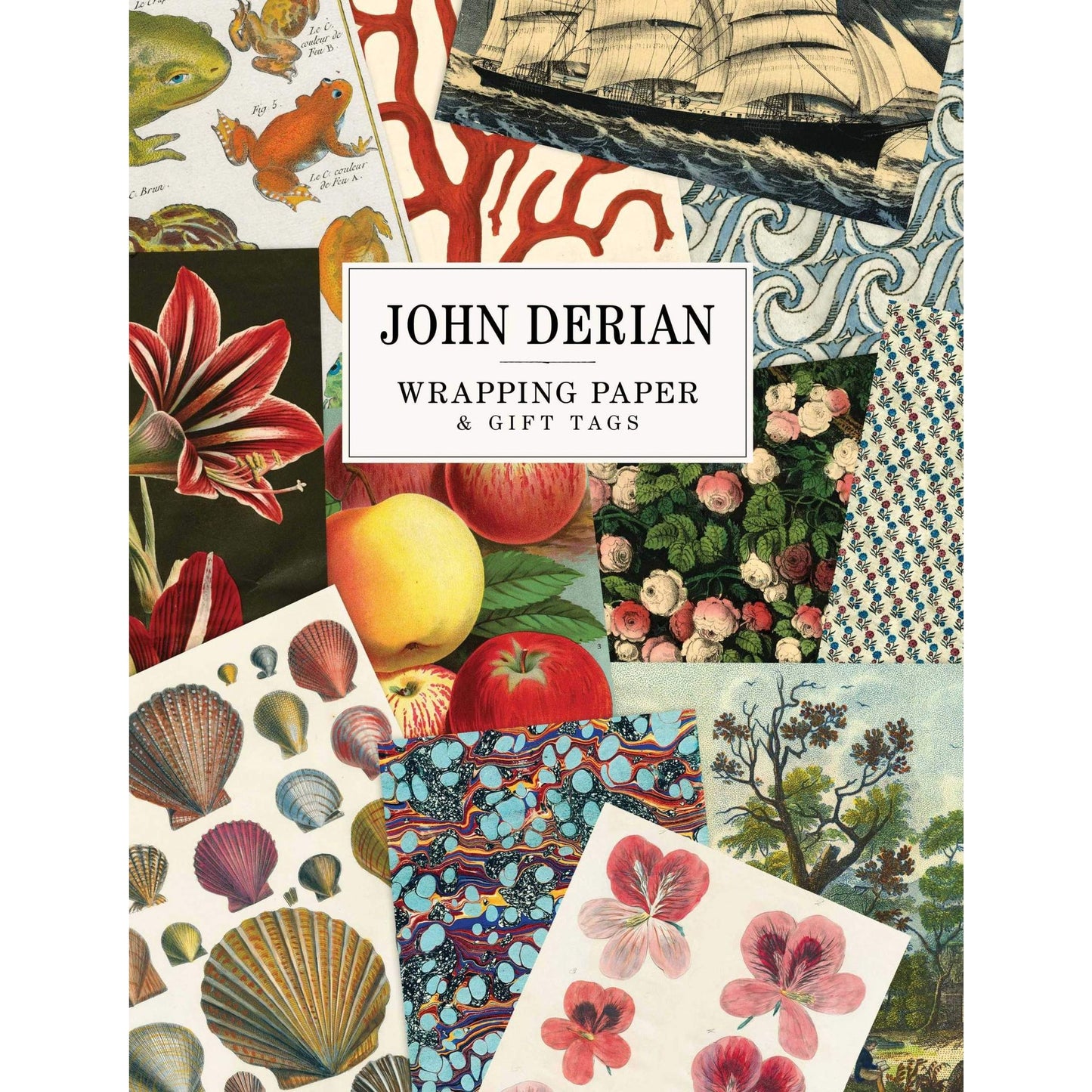 John Derian Paper Goods wrapping paper sheets and gift tags featuring 19th-century designs