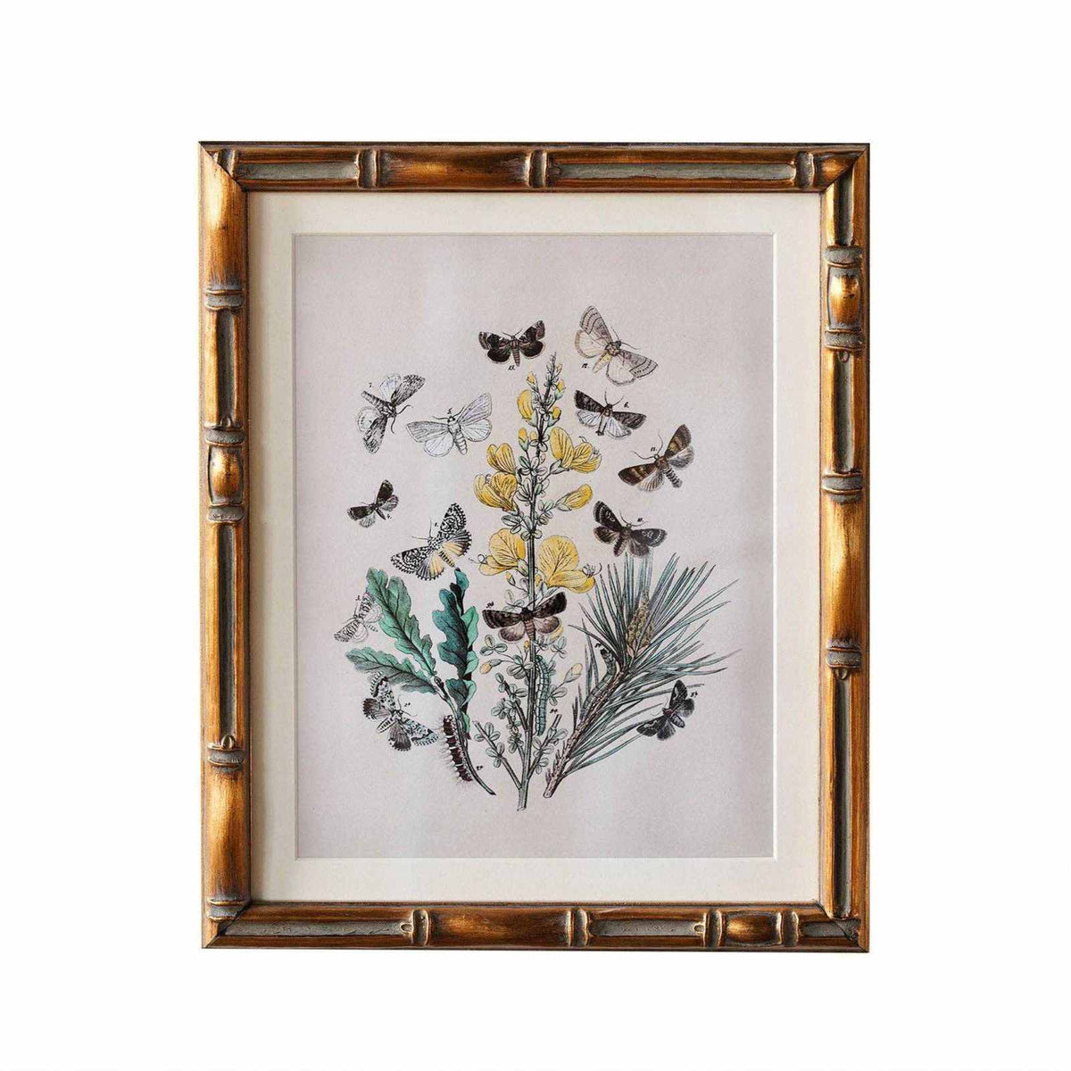 
                  
                    Burnley Matted Frame - Curated Home Decor
                  
                