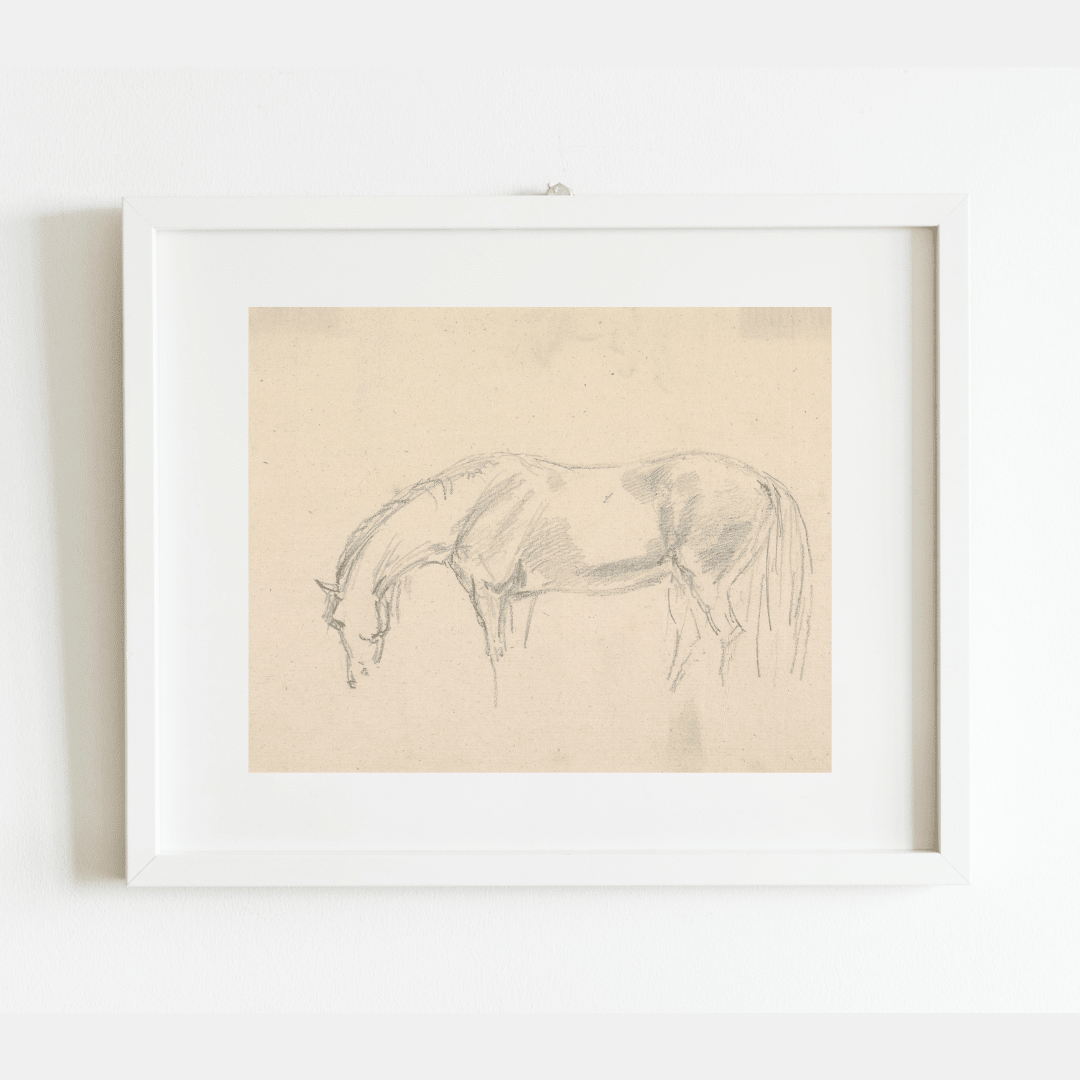 
                  
                    A Horse Grazing Sketch Antique Art Print: 5x7 - Curated Home Decor
                  
                