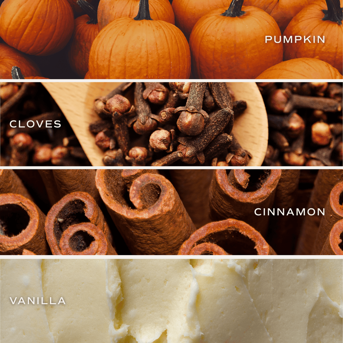 
                  
                    Pumpkin Spice Soy Candle – 8 oz Ceramic Pumpkin Jar - Curated Home Decor
                  
                
