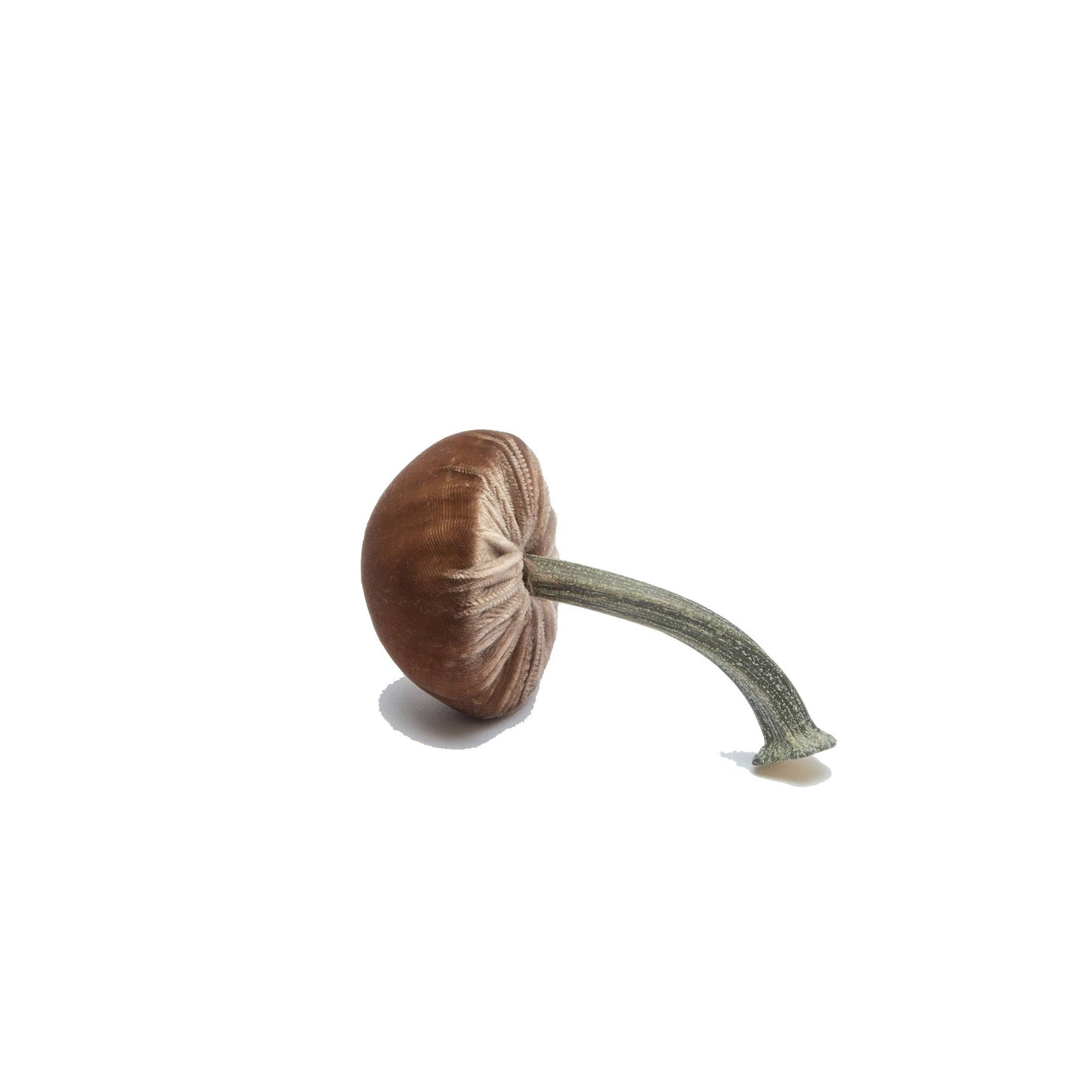 
                  
                    Mini Mocha – 2"
                  
                