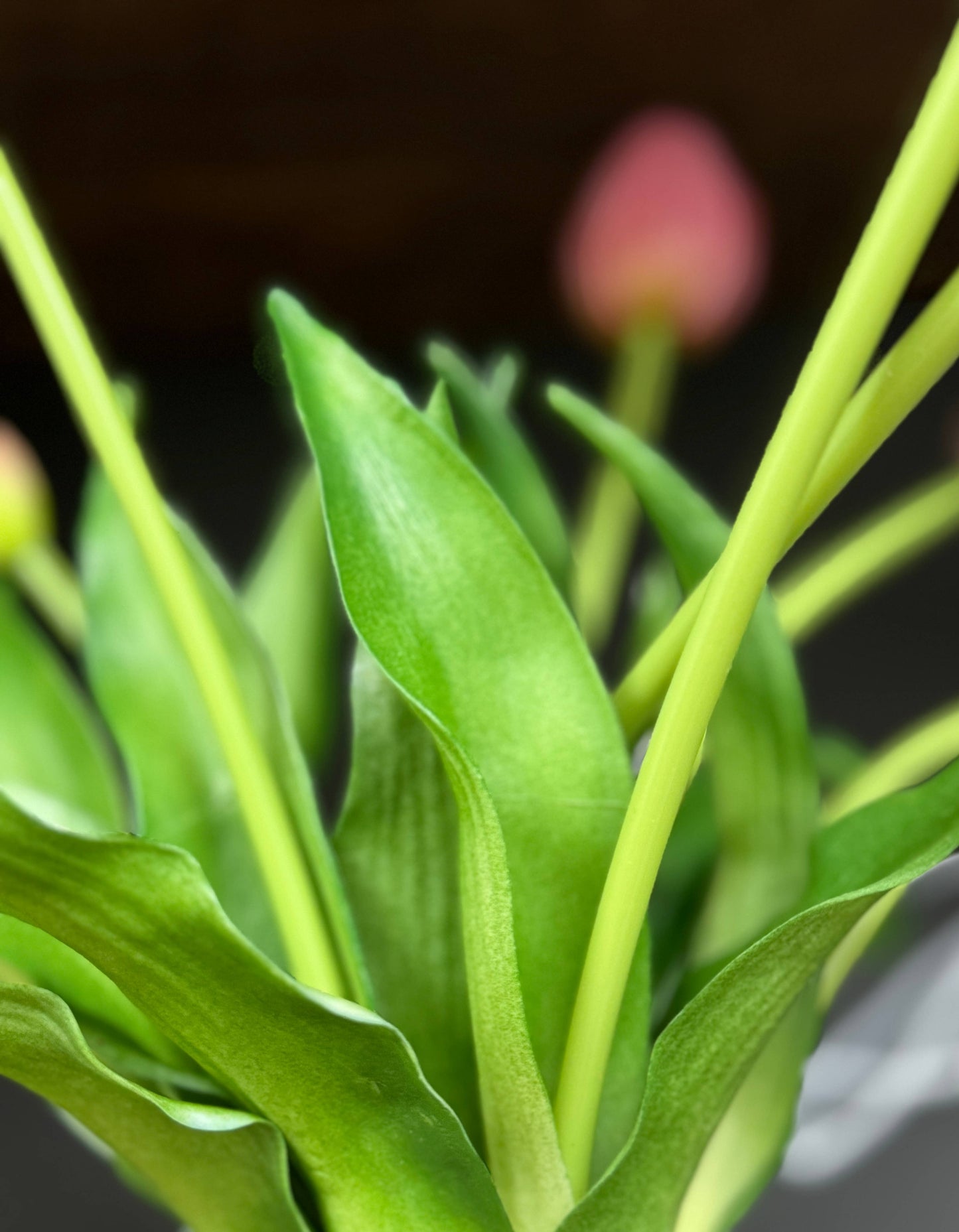 16" Real Touch Tulip-3 flowers 2 buds