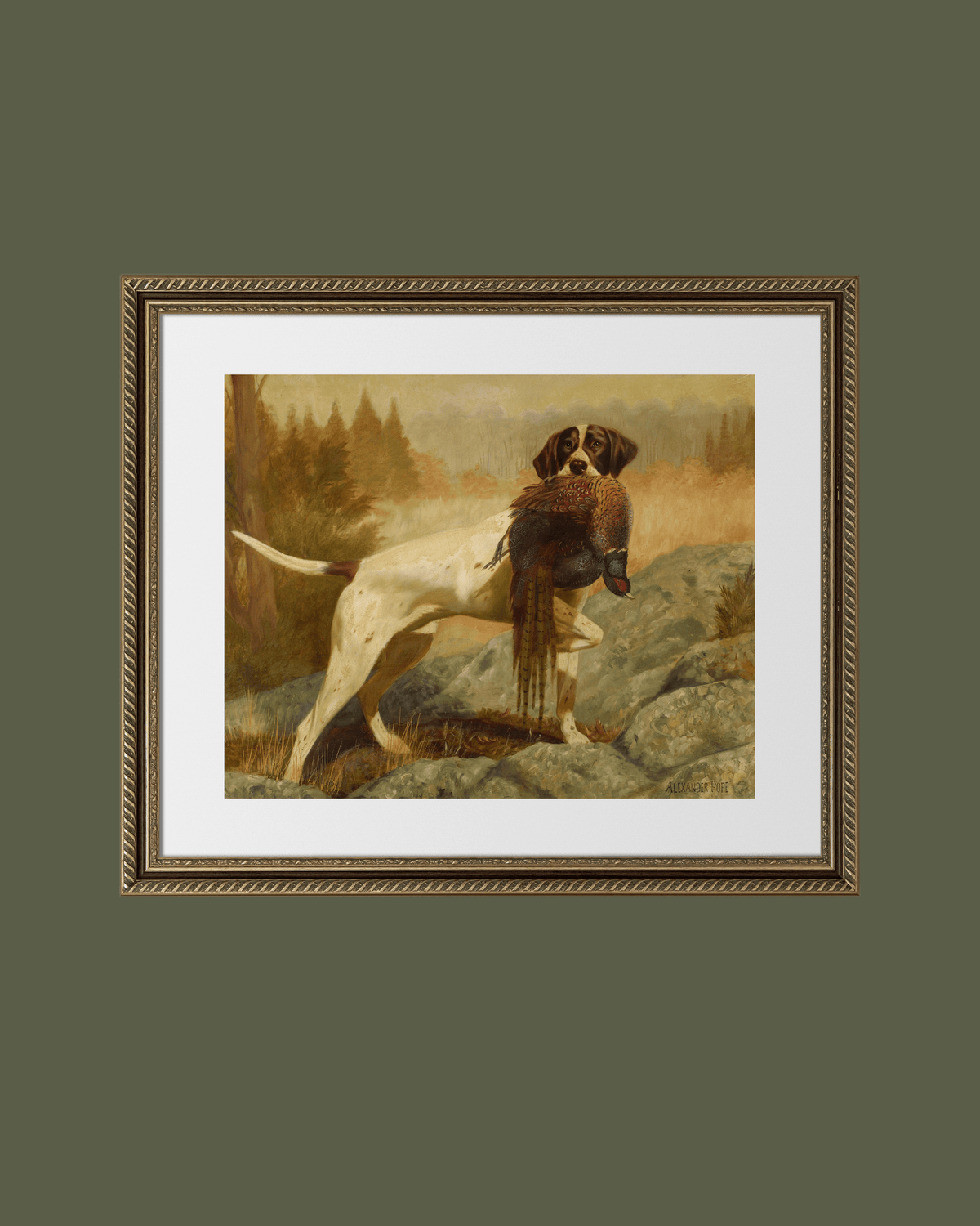 
                  
                    Pointer with Pheasant Antique Art Print - Curated Home Decor
                  
                