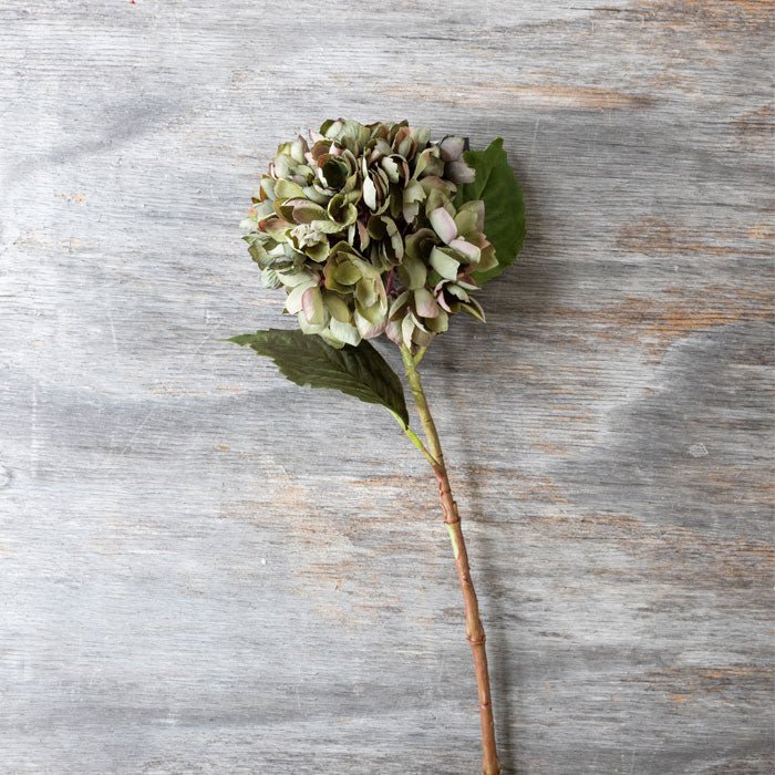
                  
                    Abigail Ahern Real Touch Hydrangea Chloris stem showing green leaves and lifelike petals
                  
                