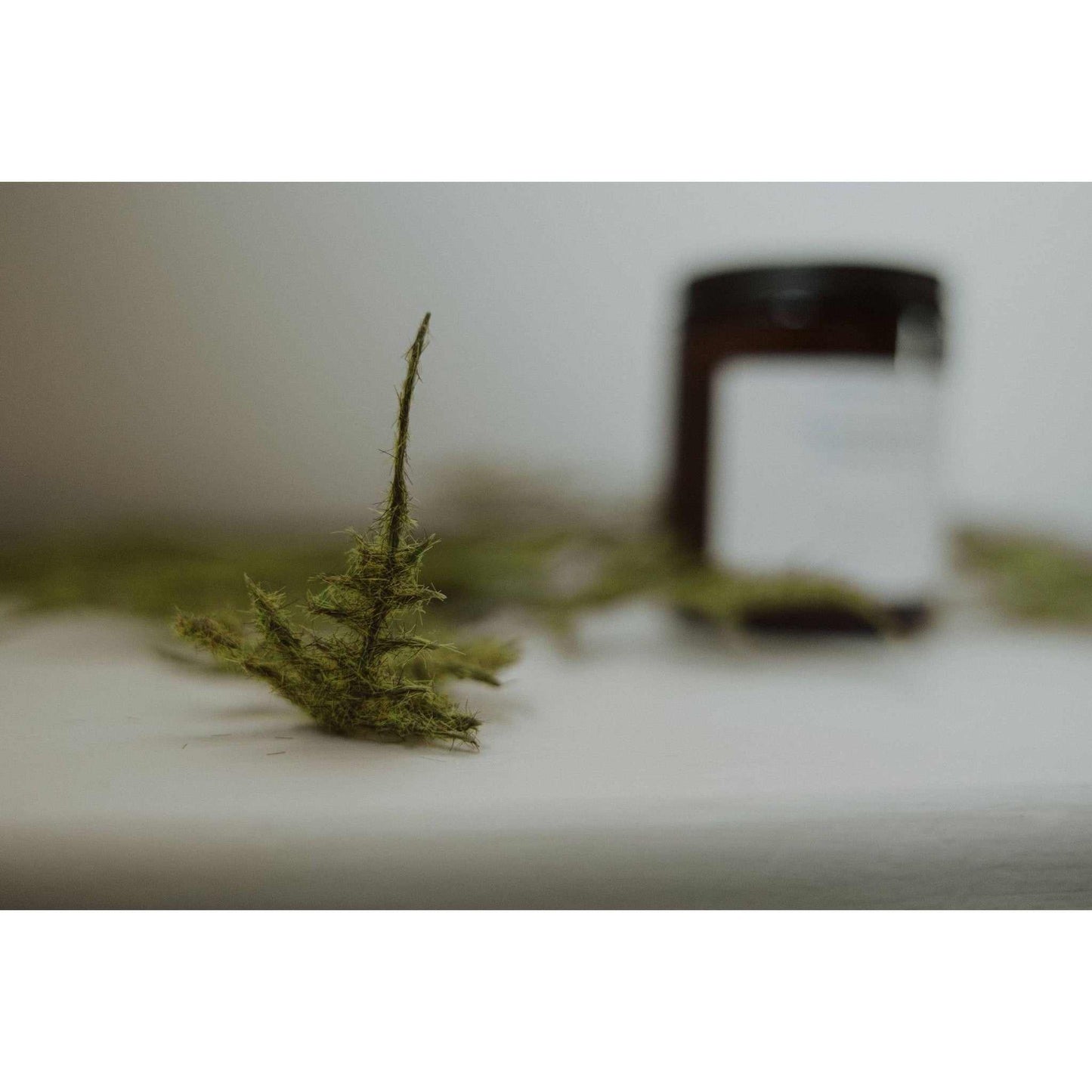 
                  
                    Fresh Balsam & Cedarwood Soy Candle Black/White - Curated Home Decor
                  
                