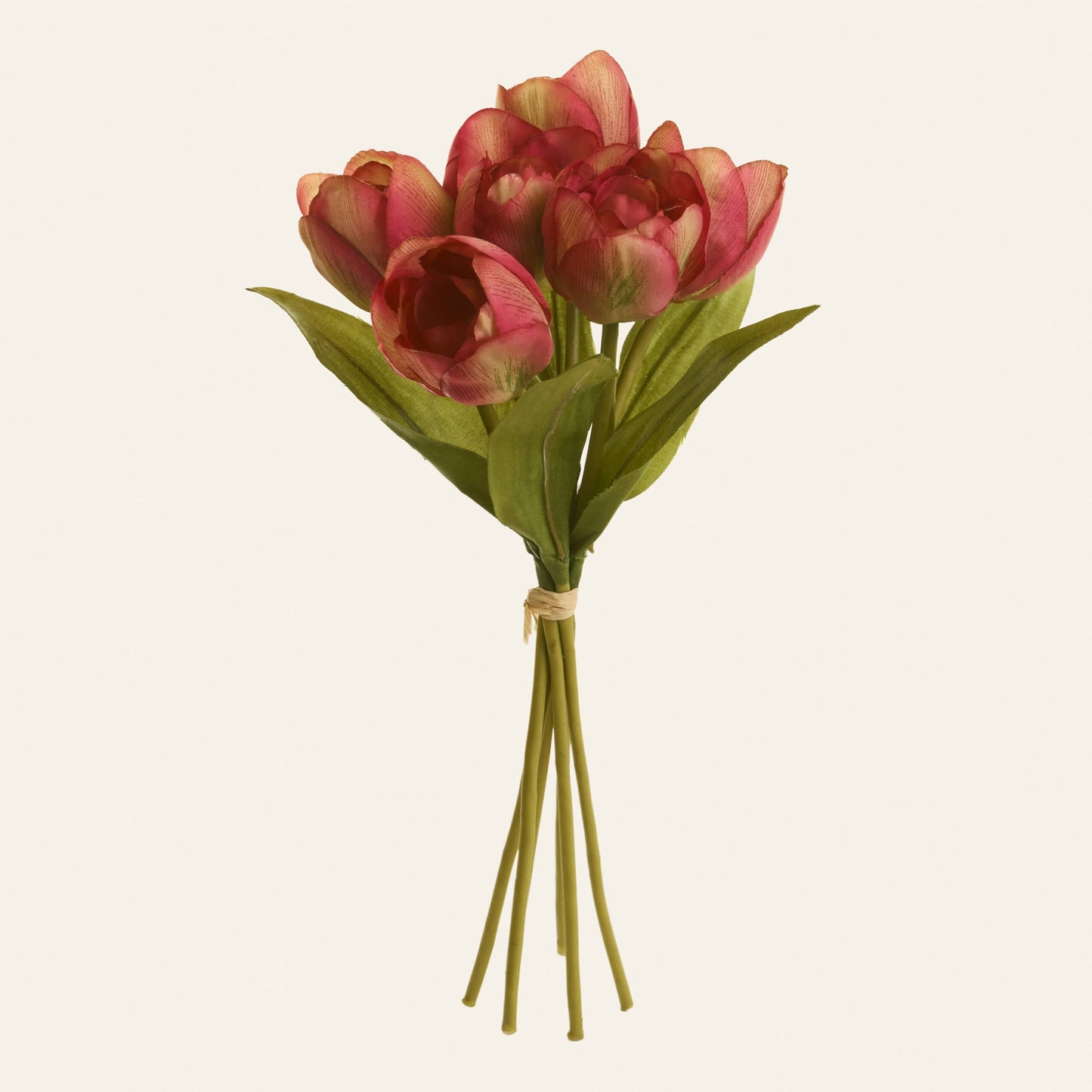 Tulips Flowers Bouquet Red Madonna - Curated Home Decor