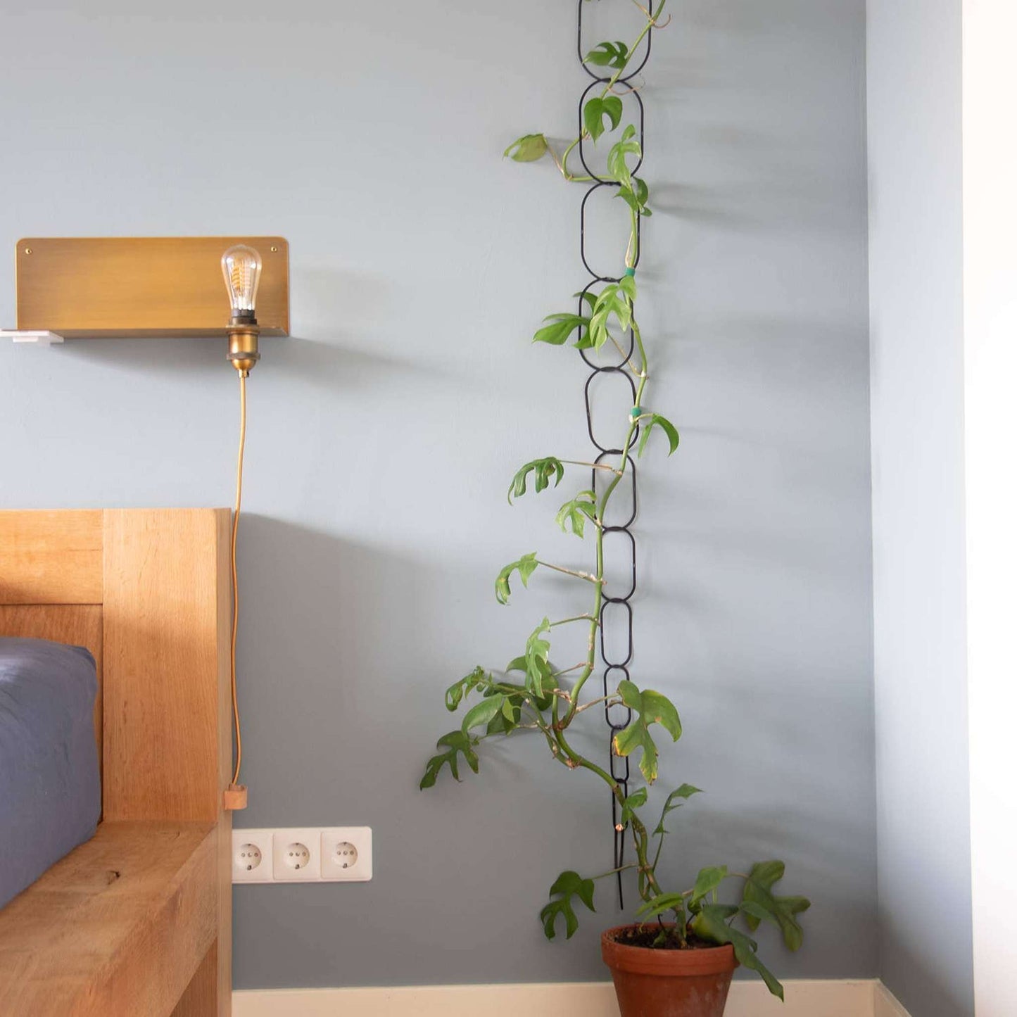 
                  
                    Black Brass Chain - Plant Support for climbing plants - Curated Home Decor
                  
                