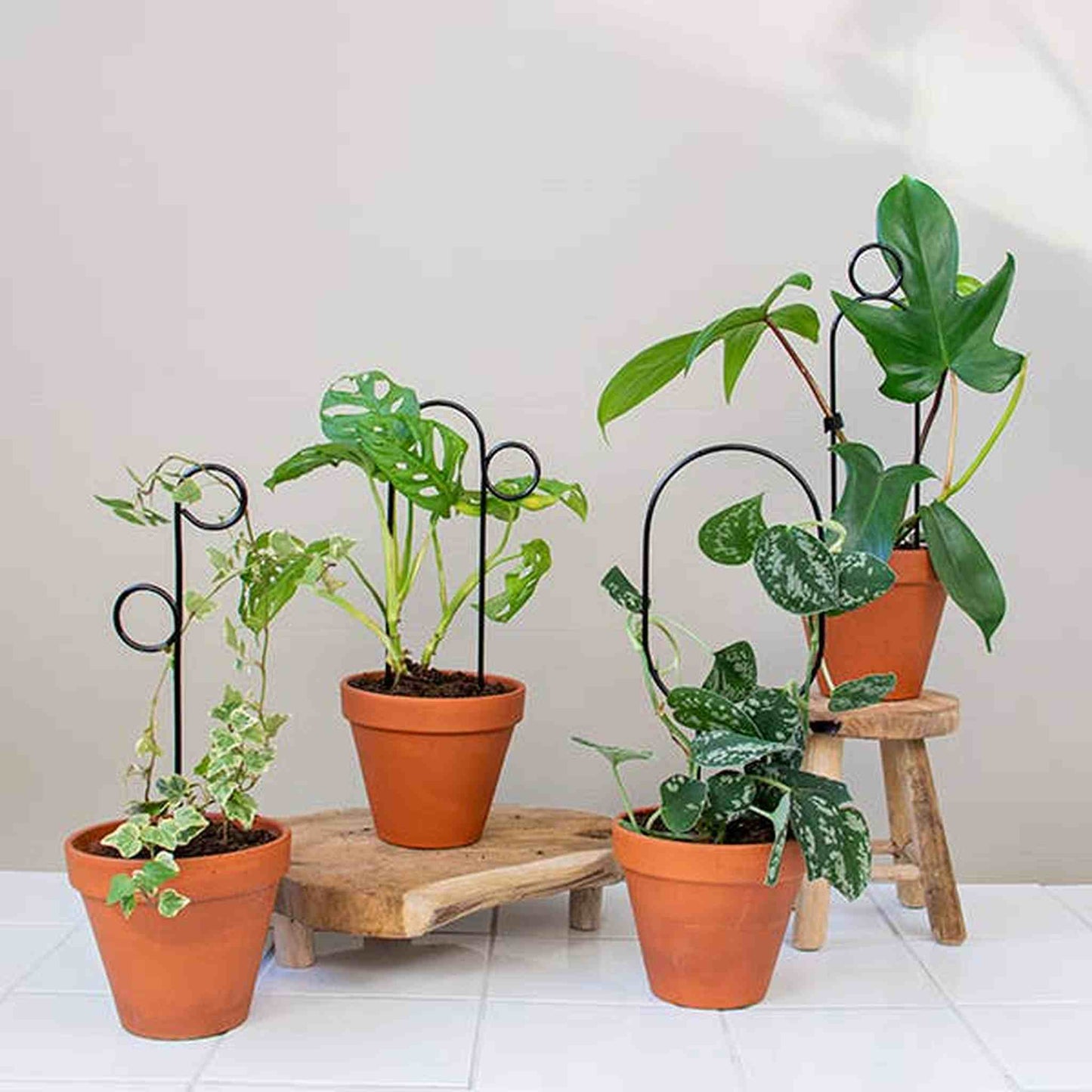 
                  
                    Set of 4 Mini Plant Stakes: Black - Curated Home Decor
                  
                
