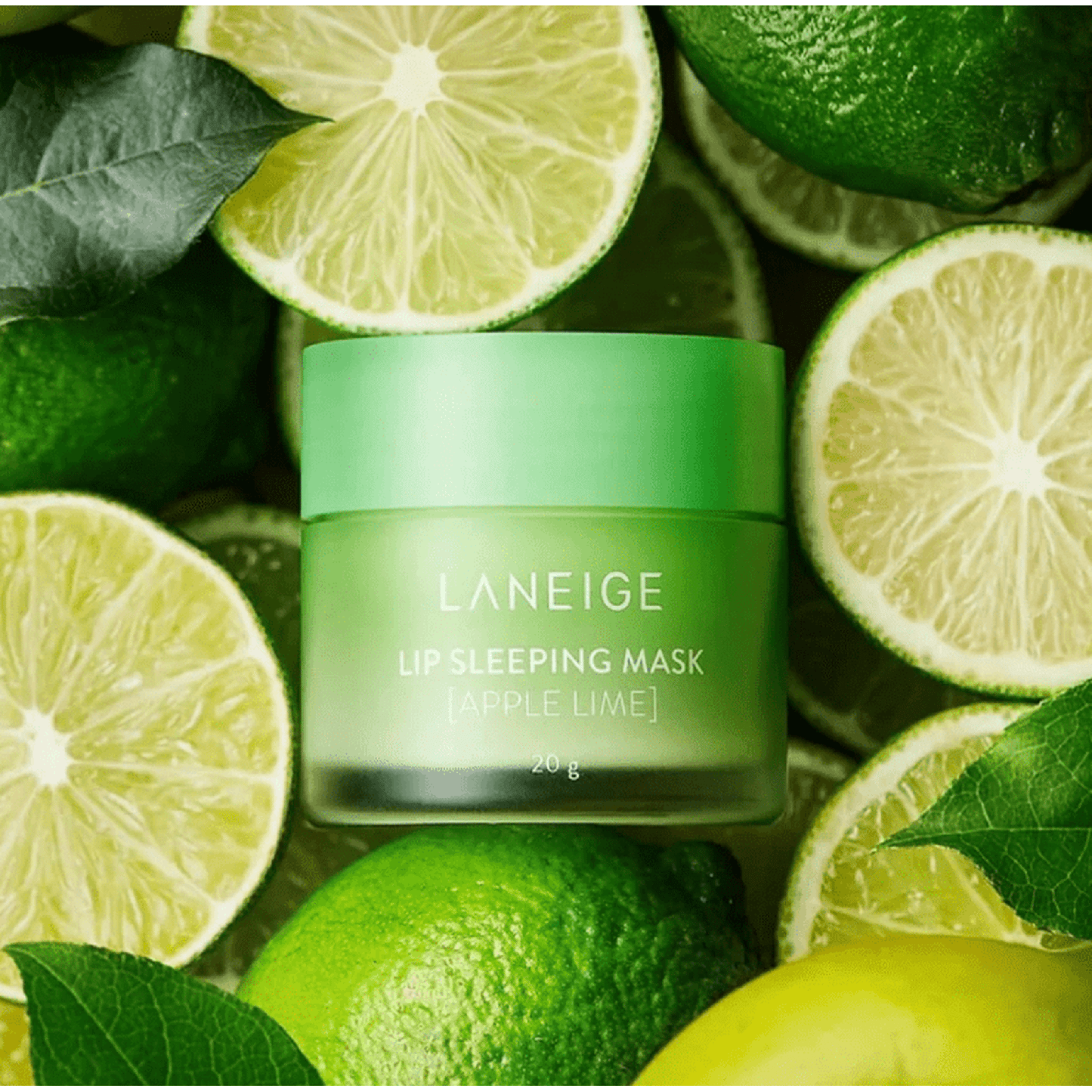 
                  
                    LANEIGE Lip Sleeping Mask Overnight Lip Treatment : Gummy Bear - Curated Home Decor
                  
                