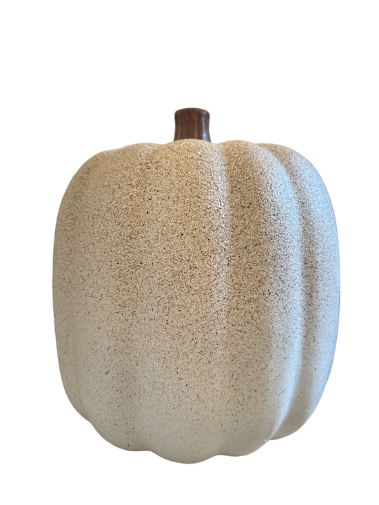 Large Concrete Plaster White Pumpkin Speckled - Curated Home Decor