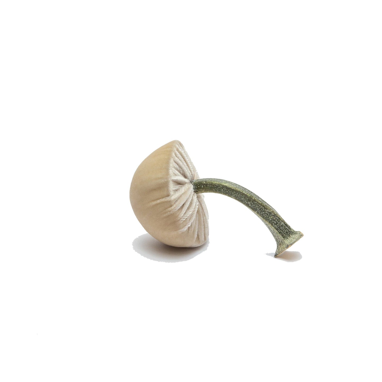 
                  
                    Mini Cream – 2"
                  
                