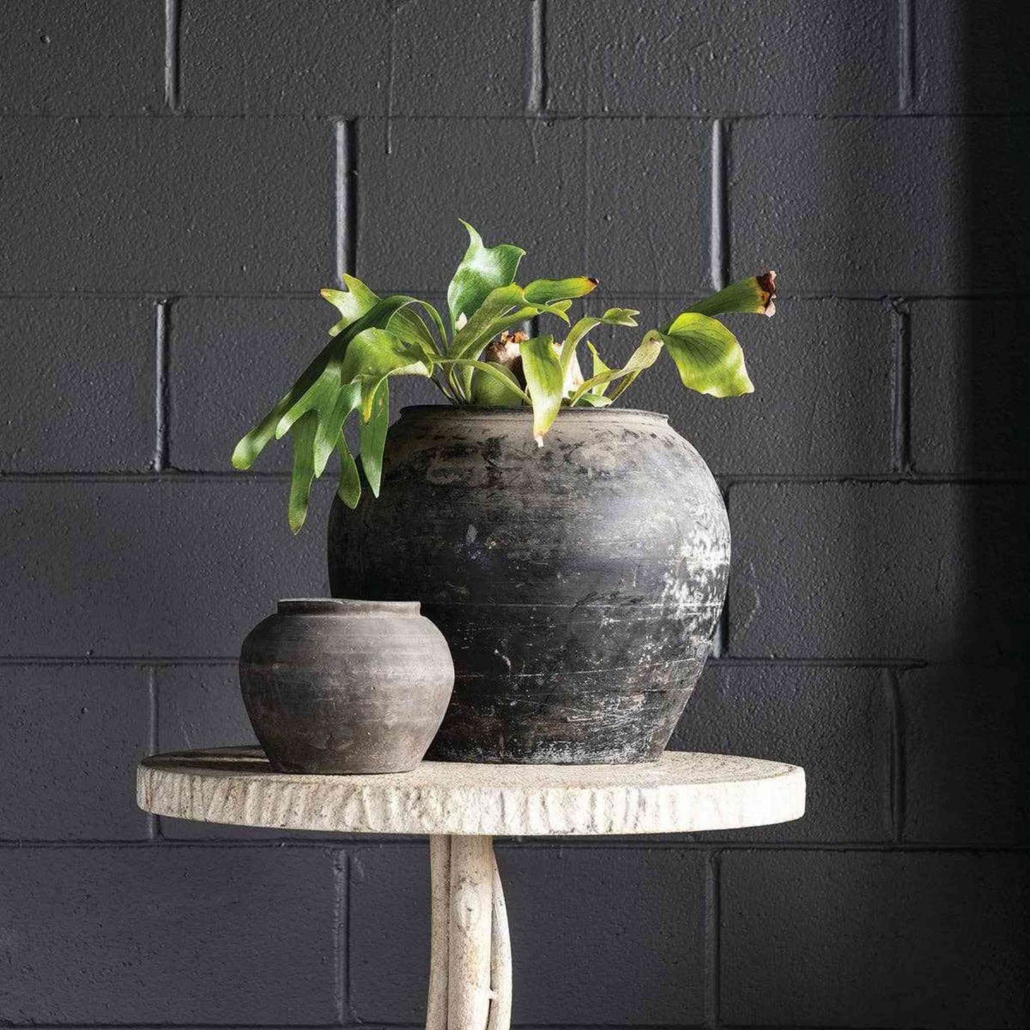 
                  
                    Cunmin Pot 8" Charcoal - Curated Home Decor
                  
                
