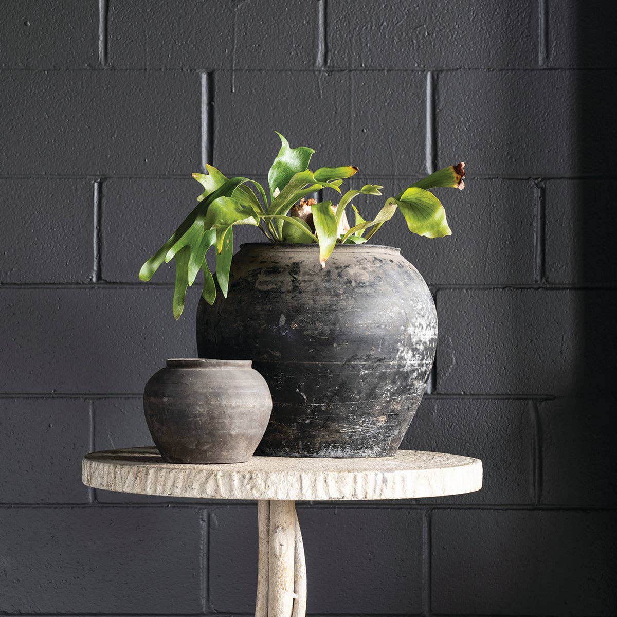 Cunmin Pot 8"  Charcoal - Curated Home Decor
