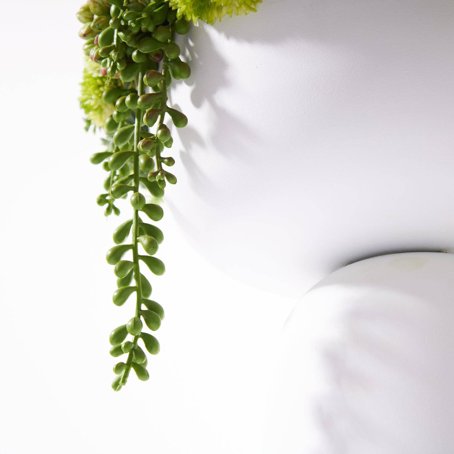 
                  
                    Elevate Sedum Green - White - Curated Home Decor
                  
                