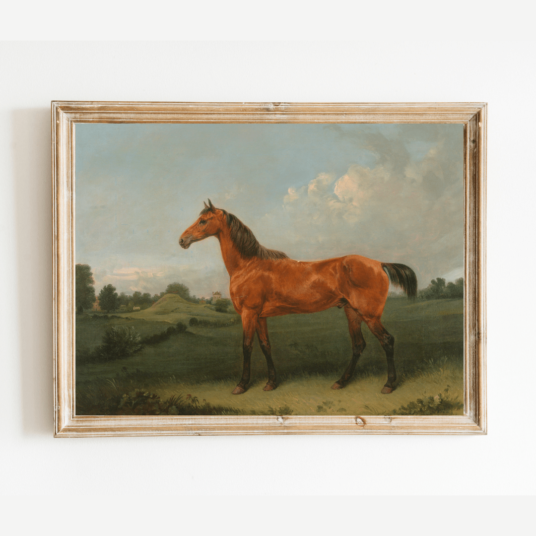 
                  
                    British Bay Horse in a Field Antique Art Print - Curated Home Decor
                  
                