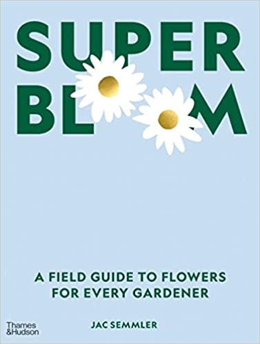 Super Bloom - Curated Home Decor