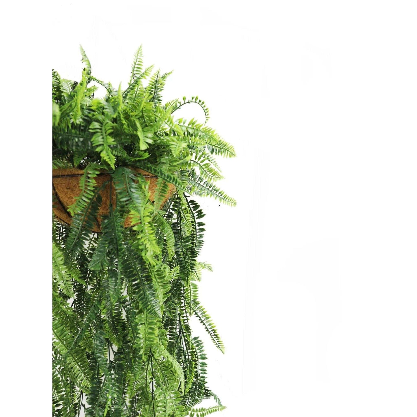 
                  
                    Real Touch Artificial Hanging Fern Basket with UV Resistance - Curated Home Decor
                  
                