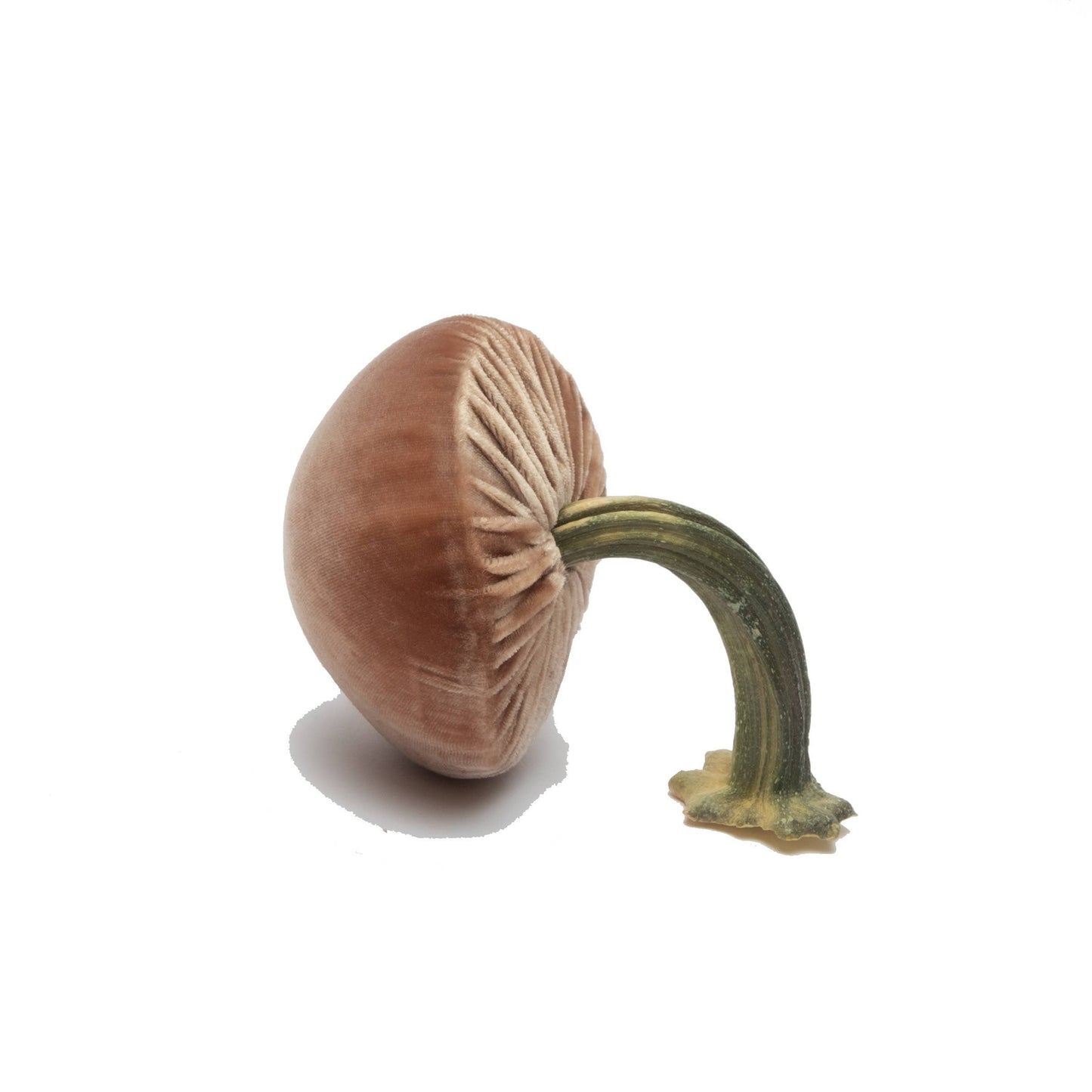 
                  
                    Small Spice – 3"
                  
                