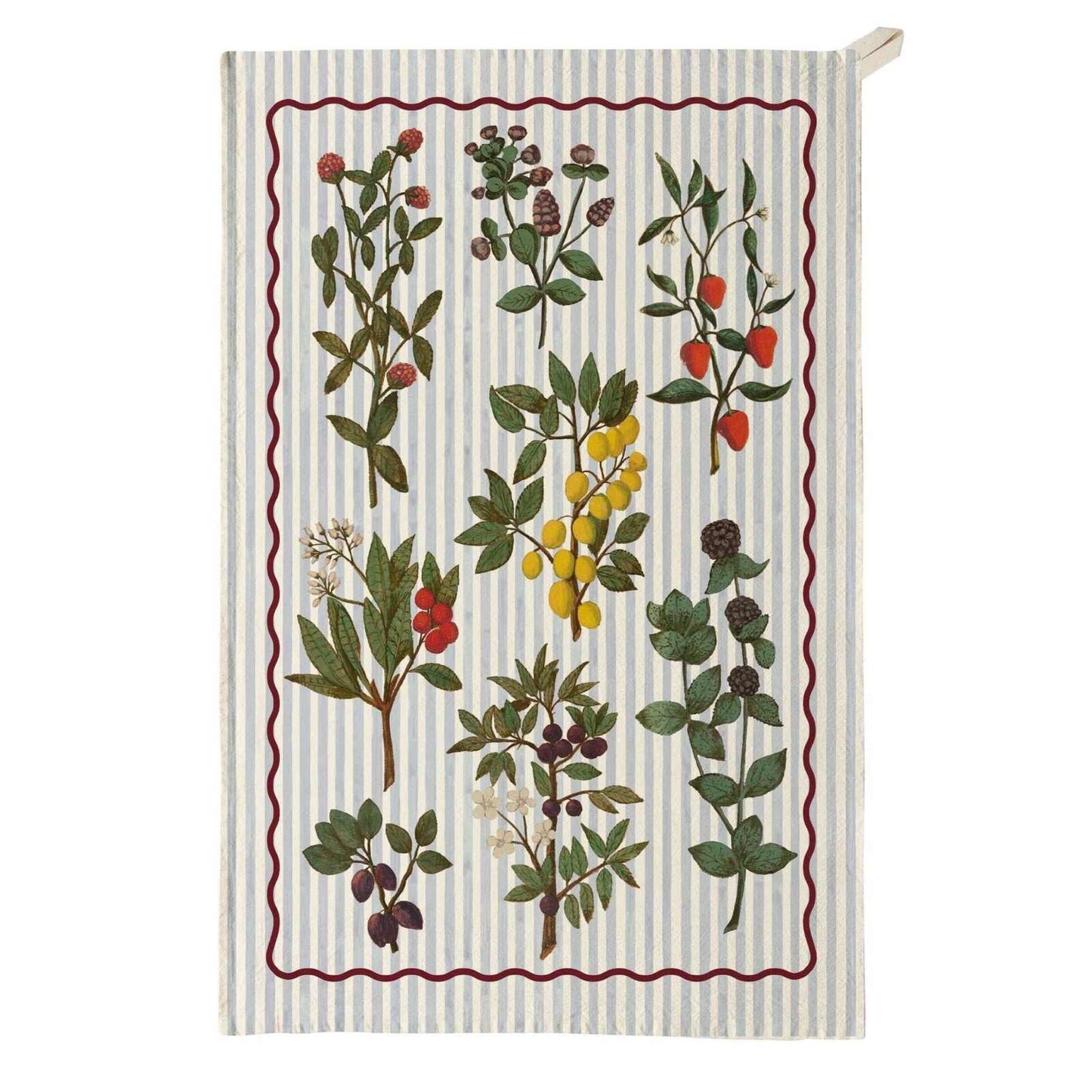 Organic cotton tea towel with early 1600s watercolor fruit illustrations and modern striped pattern