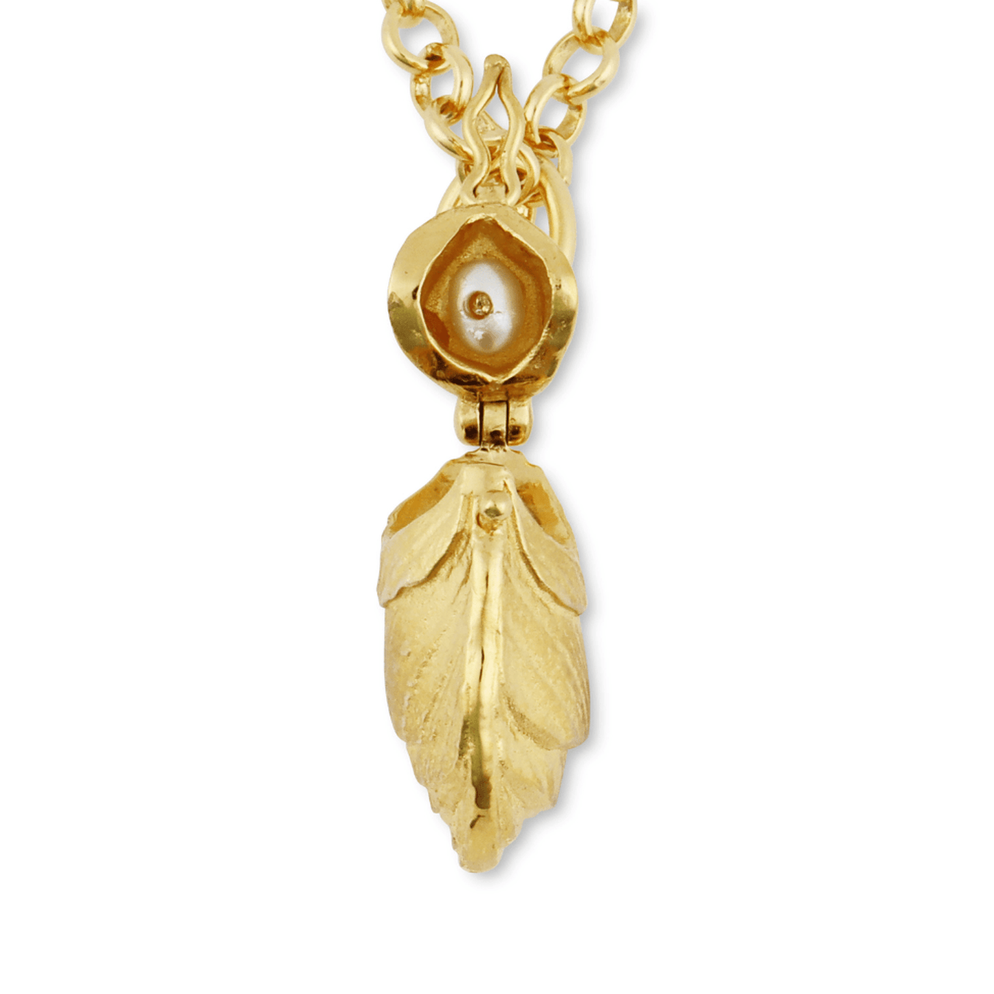 
                  
                    Oyster Vesta Case Necklace - Curated Home Decor
                  
                