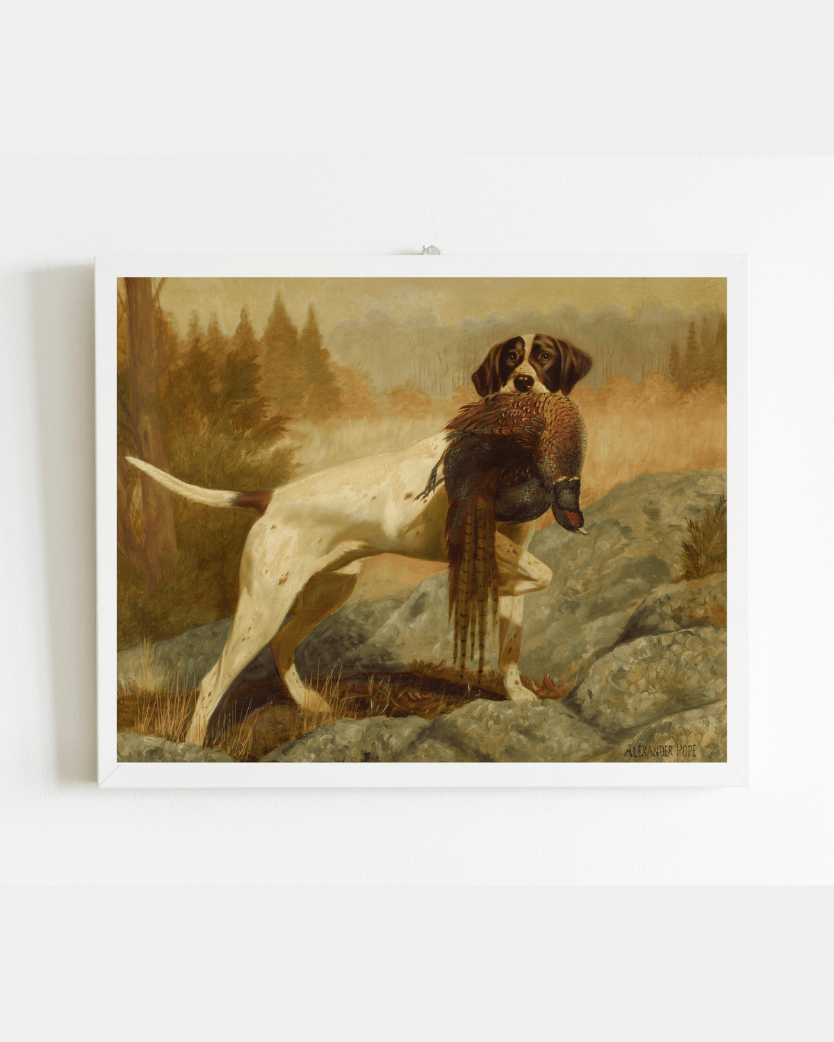 
                  
                    Pointer with Pheasant Antique Art Print - Curated Home Decor
                  
                