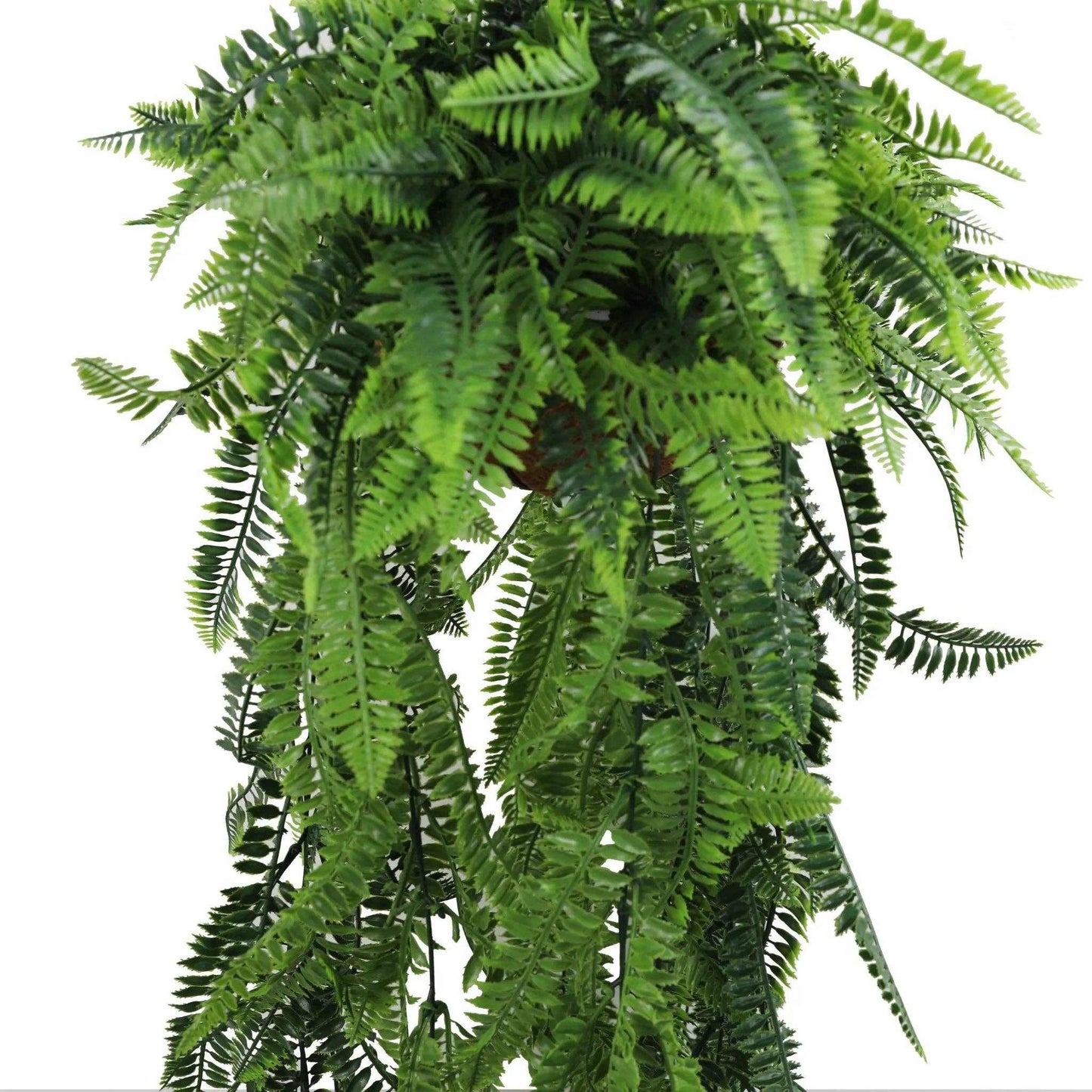 
                  
                    Real Touch Artificial Hanging Fern Basket with UV Resistance - Curated Home Decor
                  
                