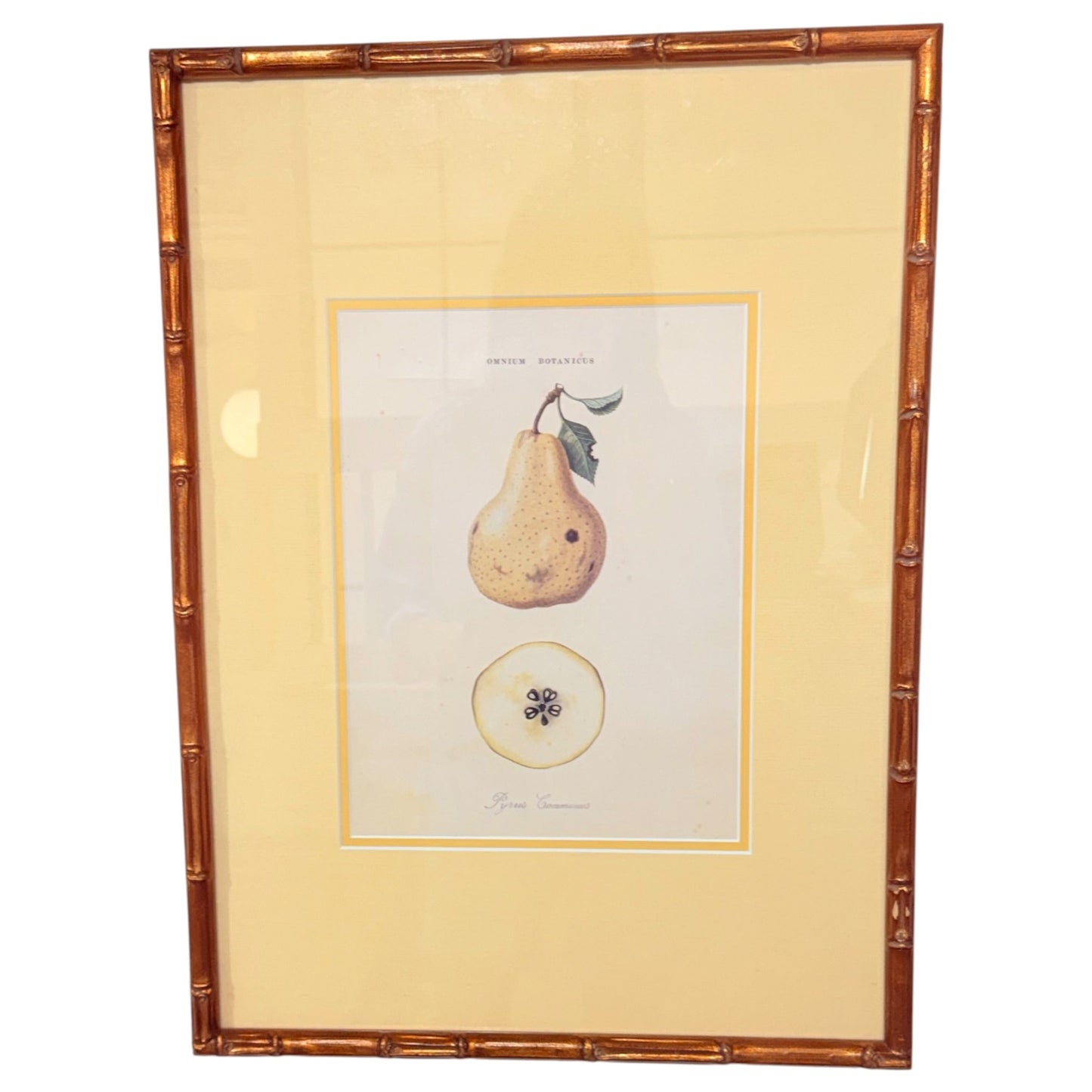 Framed Botanical Pear Print in Faux Bamboo Frame - Curated Home Decor