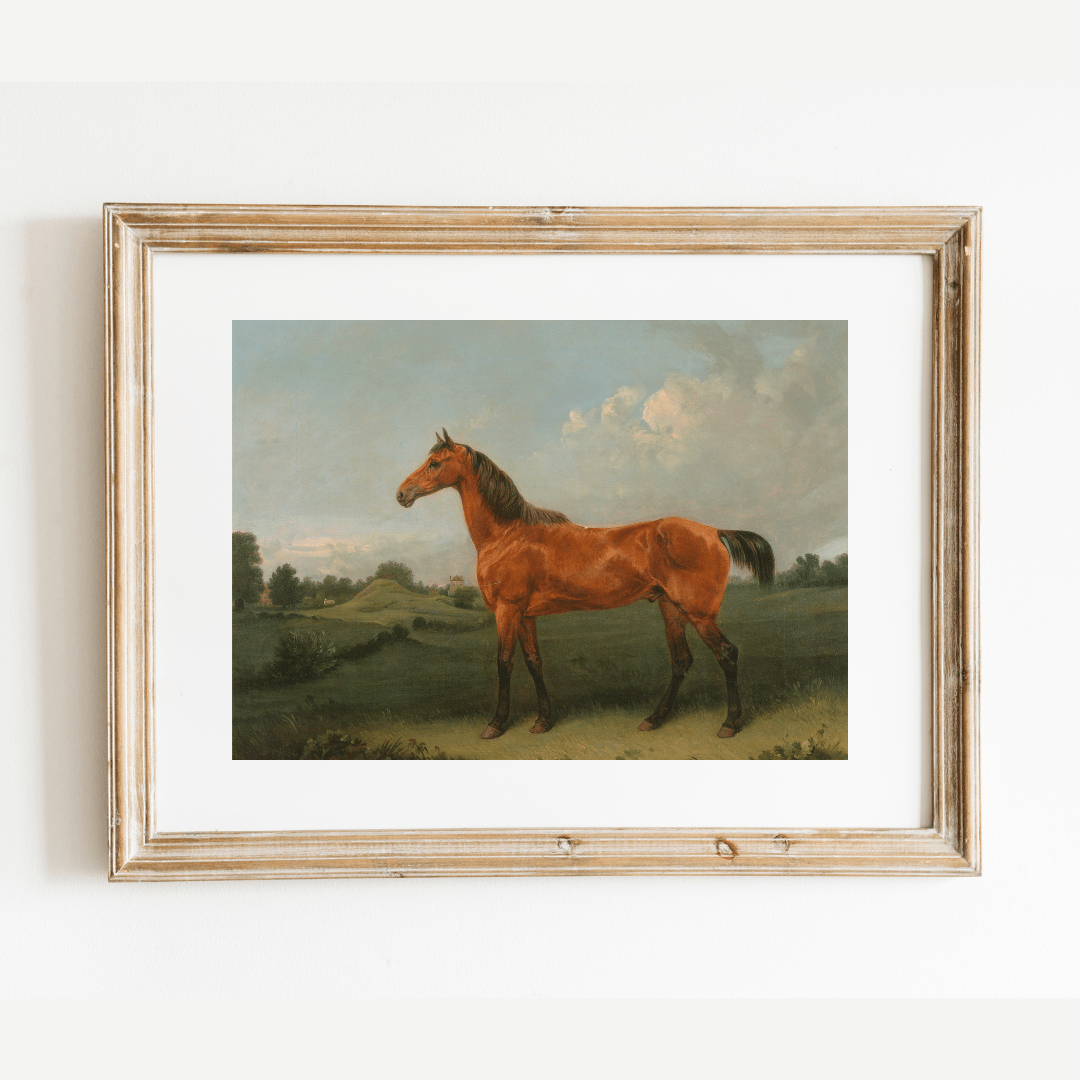 
                  
                    British Bay Horse in a Field Antique Art Print - Curated Home Decor
                  
                