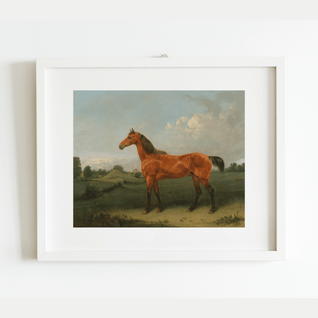 
                  
                    British Bay Horse in a Field Antique Art Print - Curated Home Decor
                  
                