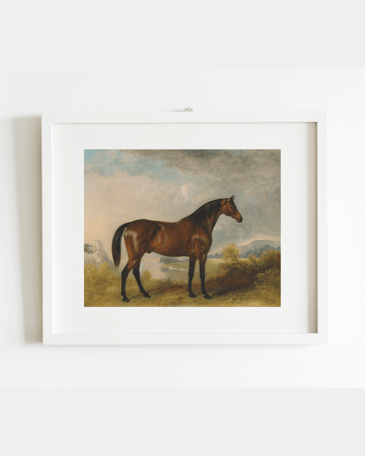 
                  
                    Bay Horse in a Field Antique Art Print: 5x7 - Curated Home Decor
                  
                