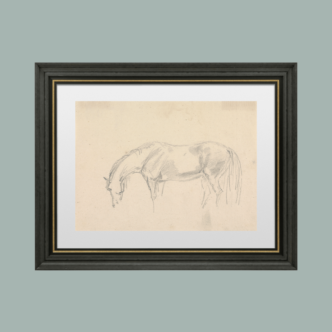 
                  
                    A Horse Grazing Sketch Antique Art Print: 5x7 - Curated Home Decor
                  
                