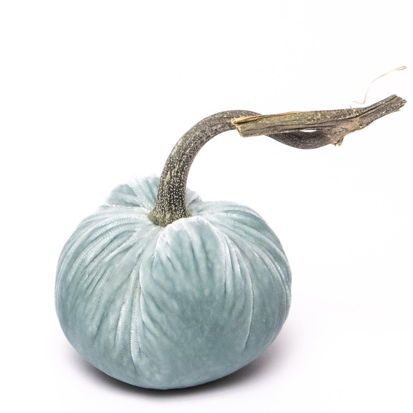
                  
                    Seafoam
                  
                