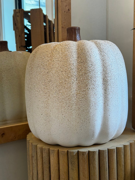 Large Concrete Plaster White Pumpkin Speckled - Curated Home Decor