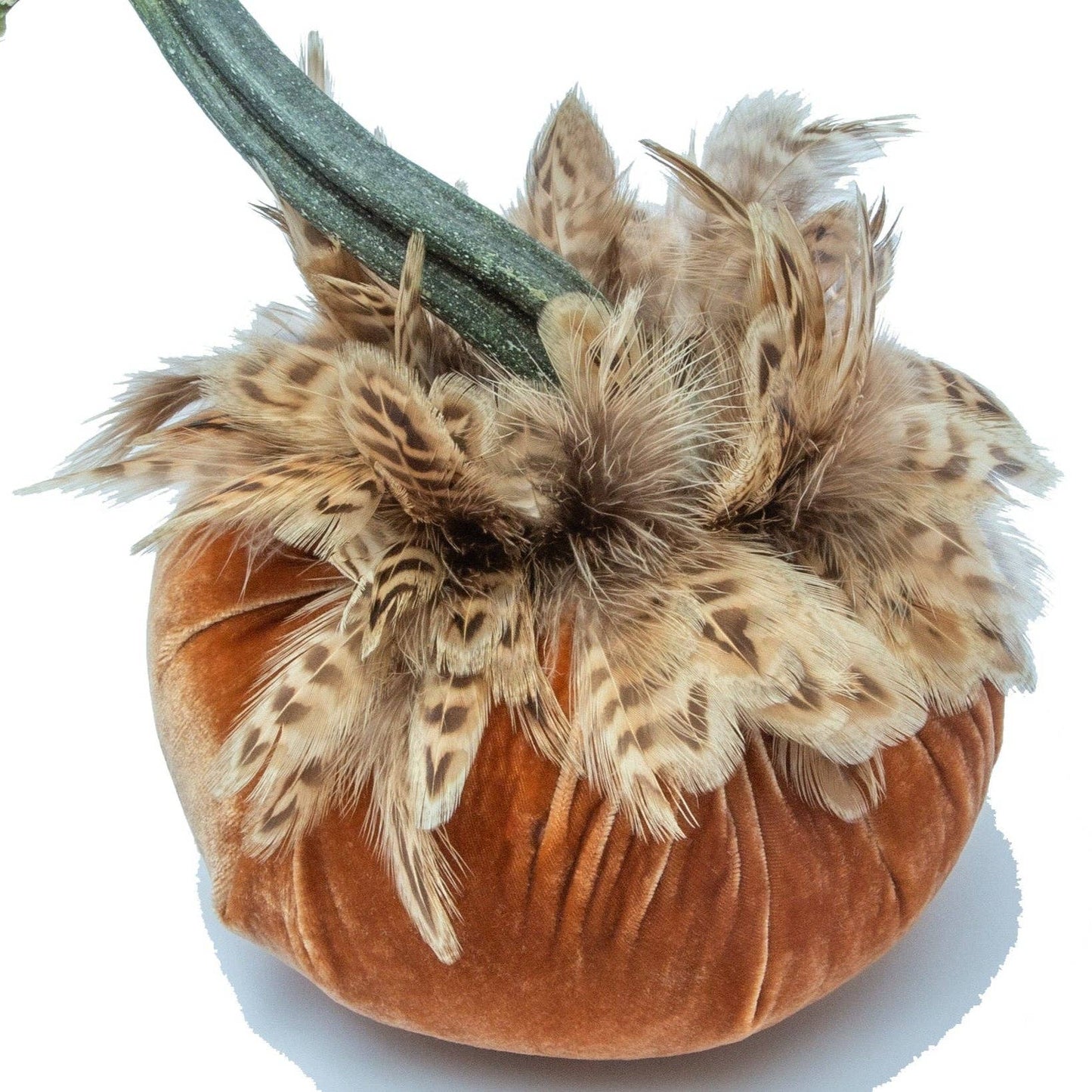 
                  
                    Spice · Pheasant Collar – 6"
                  
                