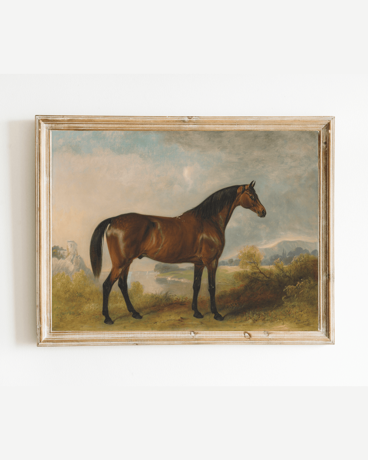 
                  
                    Bay Horse in a Field Antique Art Print: 5x7 - Curated Home Decor
                  
                