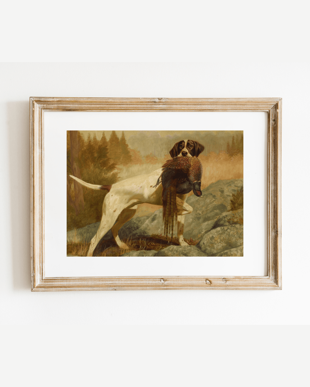
                  
                    Pointer with Pheasant Antique Art Print - Curated Home Decor
                  
                