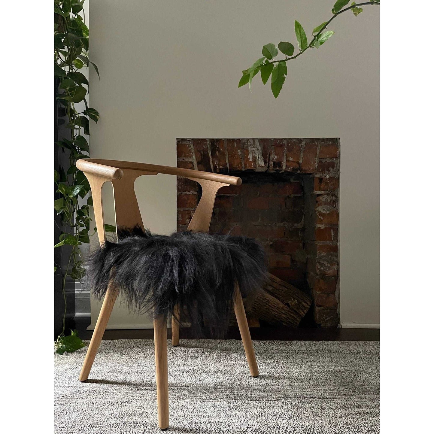 
                  
                    Black Icelandic Sheepskin Chair Pad - Curated Home Decor
                  
                