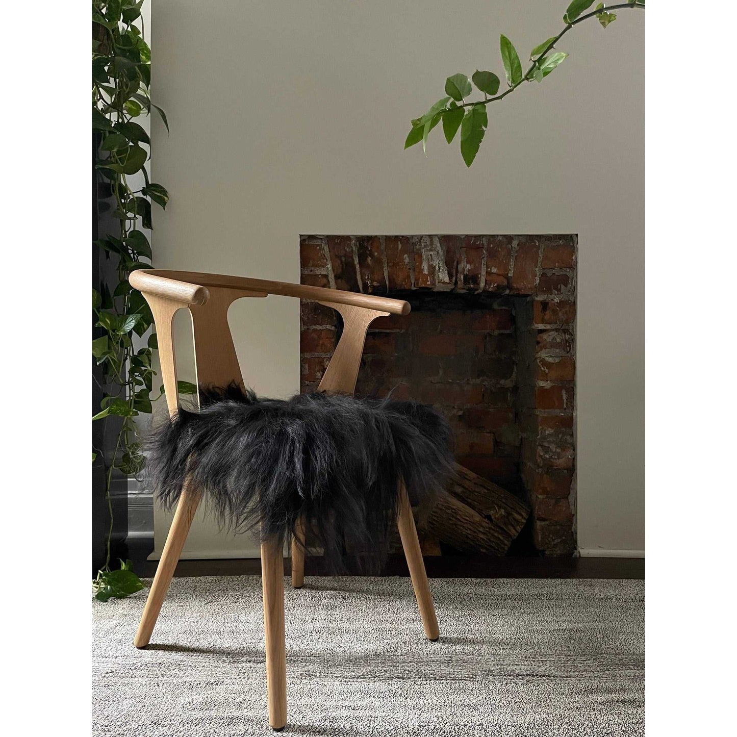 Black Icelandic sheepskin chair pad on wooden chair in cozy room